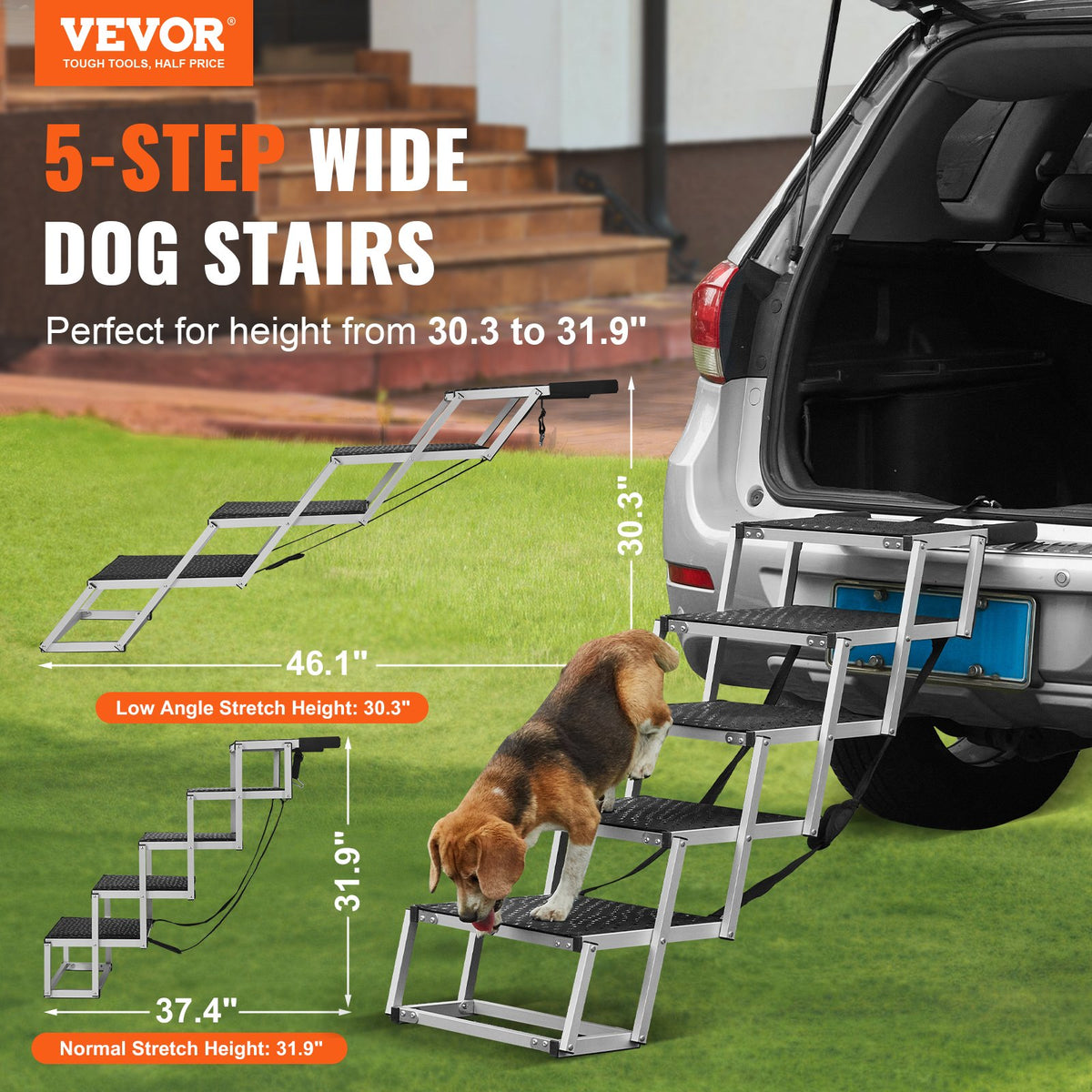 Dog climbing 5-step folding dog stairs into a car, adjustable from 30.3 to 31.9 inches