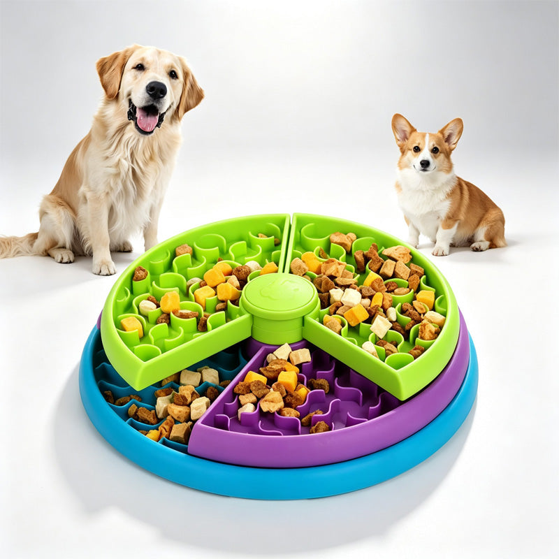 Golden retriever and corgi with a green, purple and blue rotating dog puzzle feeder